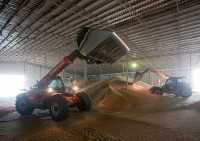 Ожидаемый урожай зерна в Крыму оценили в 1 млн. тонн