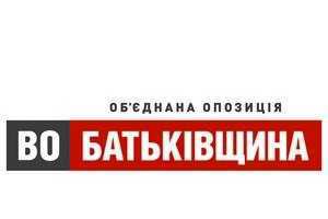 "Батькивщина" обещает отстранить Януковича от власти и уничтожить Конституционный суд