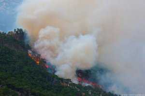 Тушение пожара в горах над Ялтой продолжается