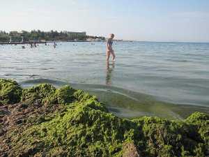 В Севастополе работники СЭС закрыли пляж «Омега»