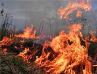 Возле Феодосии горящая трава сожгла десять сараев и дом