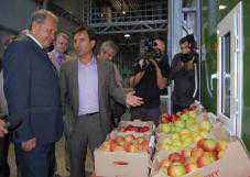 В Симферопольском районе открыли фруктохранилище