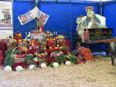 В Бахчисарае прошёл Всекрымский праздник урожая