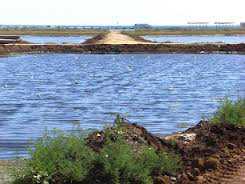 Суд обязал снести дамбу на озере Аджиголь в Феодосии