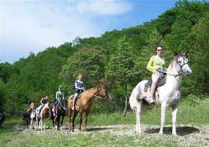 В промежуток времени межсезонья конный туризм для Крыма перспективное направление, – эксперт