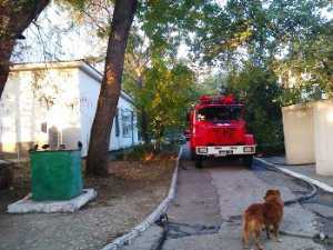 В Севастополе сторож Центра крови спас собаку от пожара, а сам погиб в огне