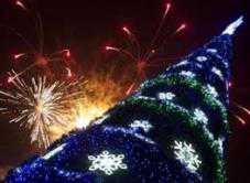 В середине декабря в Евпатории зажгут новогоднюю елку