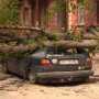 Вчерашний штормовой ветер в Крыму свалил несколько деревьев