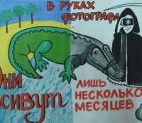 Министерство курортов Крыма выбрало лучшие плакаты против фотографов-живодеров