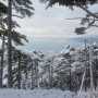 В Крыму потеплеет — Новый год будет без снега