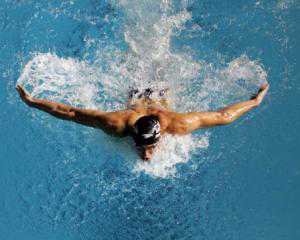 Крымчане стали бронзовыми призерами чемпионата Украины по плаванию
