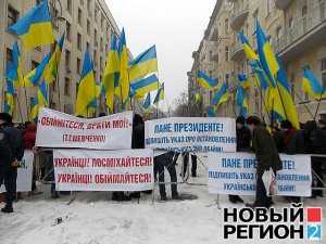 Фанатов Тимошенко оттеснили от администрации Януковича при помощи «быков» и алкоголиков
