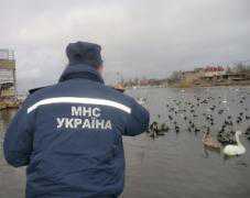 Жителей Севастополя призвали подкармливать перелетных птиц