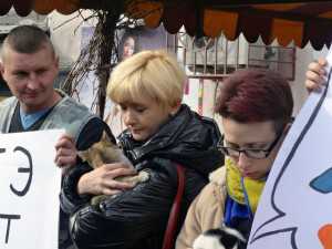 Защитники животных провели акцию перед магазином, где продавались кошачьи шкурки