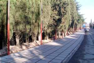 В Алуште устроили пикет против 4-метрового забора санатория «Золотой Колос»
