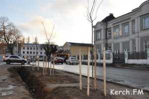 Около 100 деревьев высадят в Керчи