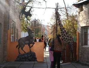 В симферопольском зооуголке грифы объявили голодовку