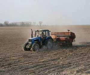 Аграрии Крыма засеяли ранние зерновые