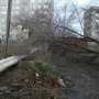 Штормовой ветер повалил в Феодосии деревья