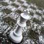Летом в Судаке пройдёт шахматный фестиваль «Великий шелковый путь»
