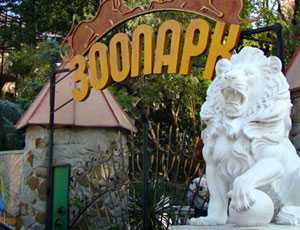 Власти Ливадии получили рекомендацию Могилева оформить парковку зоопарку «Сказка»