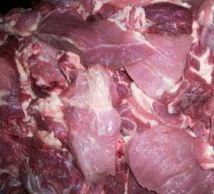 Детский санаторий в Евпатории на закупке мяса увел из бюджета 224 тыс. гривен.
