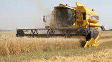 В Крыму будут развивать сельхозкооперацию