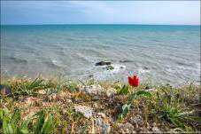 На неделе в Крыму будет солнечно и тепло