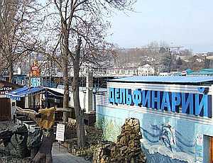 «Русский блок»: Севастопольский дельфинарий должен стать коммунальным предприятием