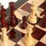 Летом в Симферополе пройдёт первенство Крыма по шахматам