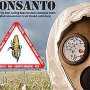 ГМО-гигант Monsanto намерен построить завод на Украине