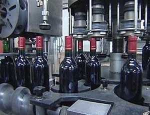 На Украине желают легализовать деятельность малых винодельческих предприятий