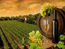 В Крыму ликвидируют один из винодельческих заводов