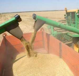 Аграрии Крыма начали уборку зерна
