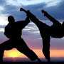 В Феодосии начинается масштабный фестиваль боевых искусств