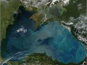 Страшилка о Чёрном море оказалось не такой уж страшной
