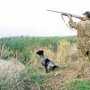 Трем организациям в Крыму предоставили охотничьи угодья