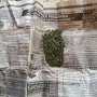 В Столице Крыма поймали наркоторговца, «толкавшего» марихуану в школах