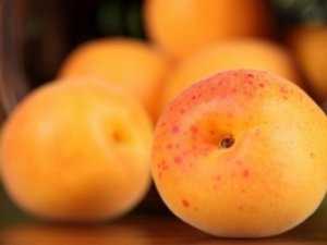 В Крыму продают мелитопольские абрикосы
