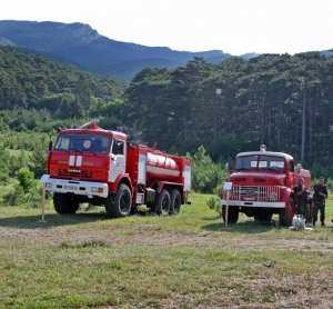 Число лесных пожаров в Крыму резко снизилось