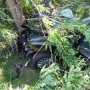 BMW влетел в дерево: погибли двое крымчан