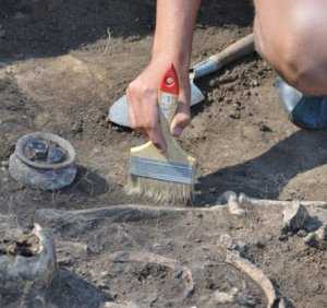 Информационный центр в Ялте предложил археологам допустить на раскопки туристов