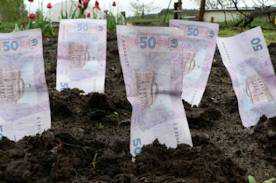 Бюджет Крыма ежегодно теряет 25 миллионов из-за заниженных ставок на аренду земли