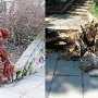 Вандалы уничтожили деревянного «Кота в сапогах» в Симферополе