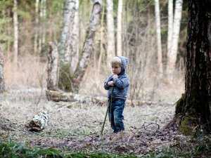 В Симферополе родители на пикнике в лесу потеряли сына