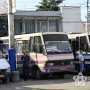 Пассажиры «в восторге» от чистоты автобусов и вежливости водителей в Крыму