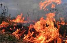 В Сакском районе горела сухая трава