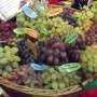 Янтарные грозди под крымским солнцем