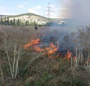 Под Севастополем выгорело 4 га травы и кустов