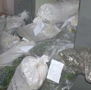 На востоке Крыма милиция изъяла 20 мешков конопли